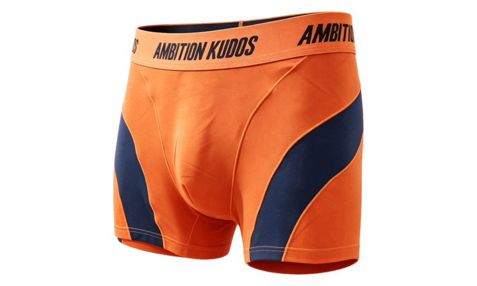 custom men's boxer briefs at Pashiongarment underwear factory